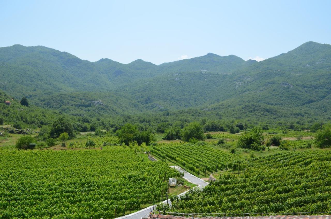 Markovic Winery And Estate Apartments ツェティニェ エクステリア 写真