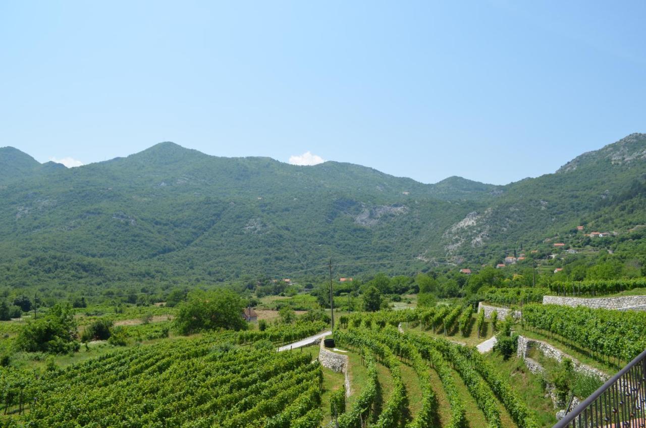 Markovic Winery And Estate Apartments ツェティニェ エクステリア 写真