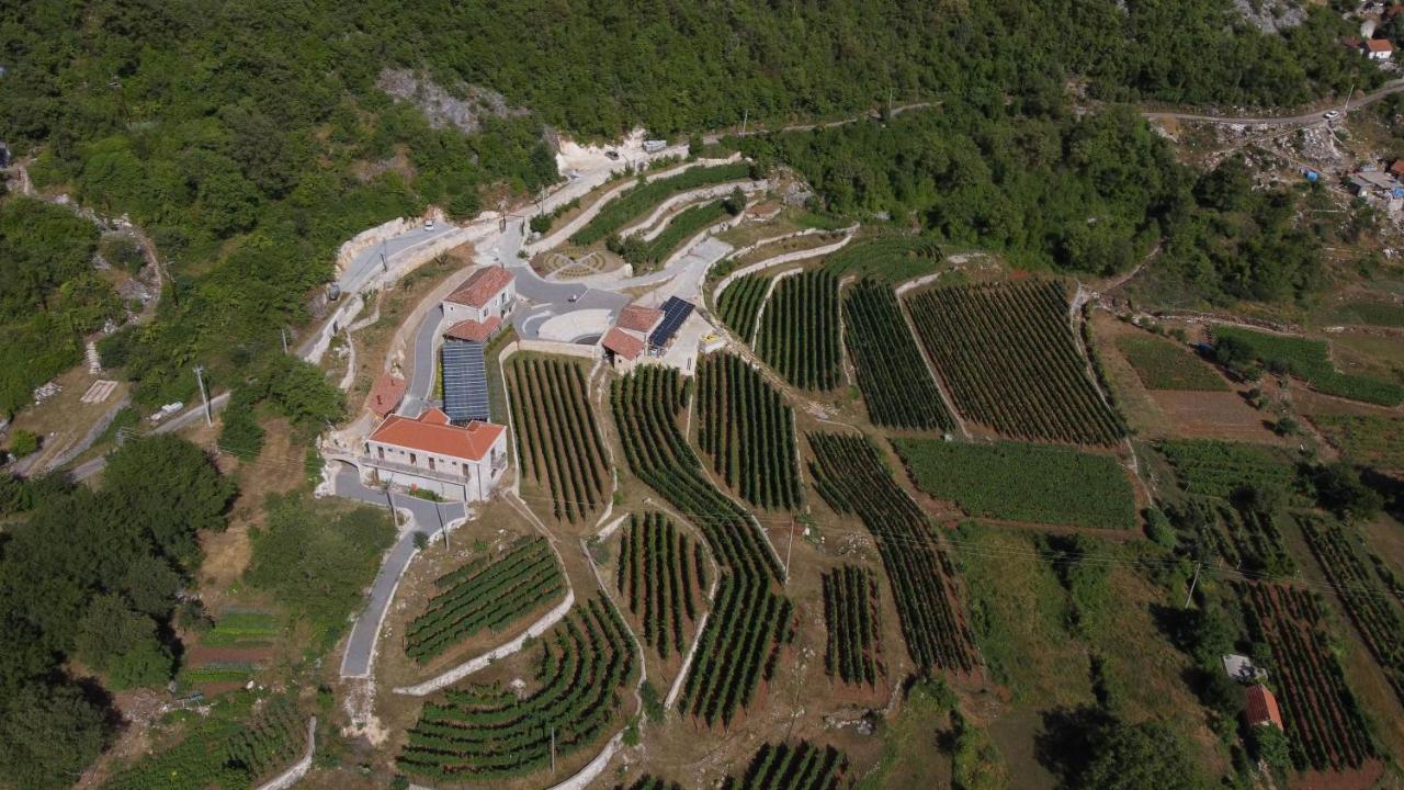 Markovic Winery And Estate Apartments ツェティニェ エクステリア 写真