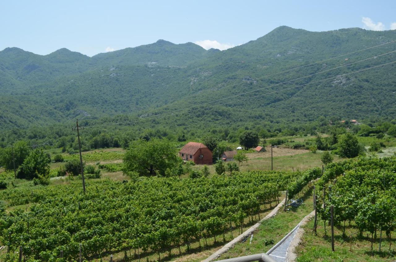 Markovic Winery And Estate Apartments ツェティニェ エクステリア 写真